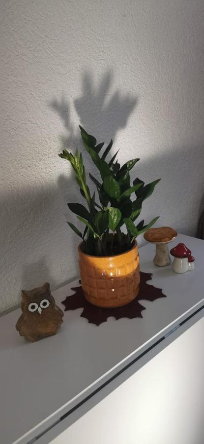Ruhige Sout. Whg. Feldrandnaehe * Seligenstadt