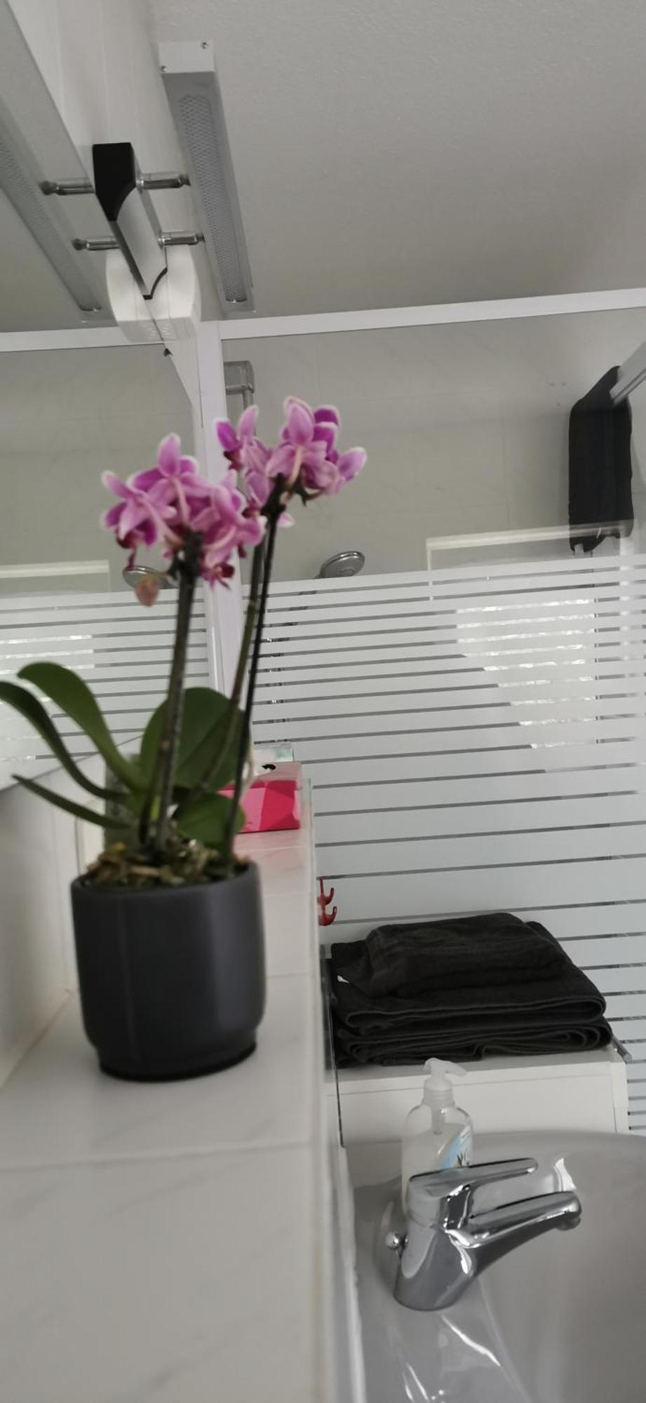 Apartment Ruhige Sout. Whg. Feldrandnaehe